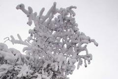 USA v zajetí sněhu