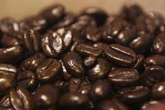 Zrnka kávy, pražená káva