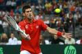 Davis cup: Srbsko - ČR