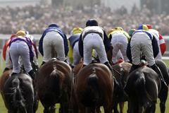 Překážkový mítink v Cheltenhamu