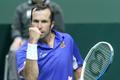 Davis Cup Česko - Itálie (Radek Štěpánek)