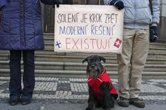 demonstrace proti solení chodníků