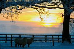 Sněžení v Evropě