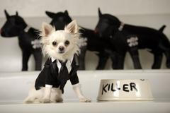 Benefiční akce Reuters