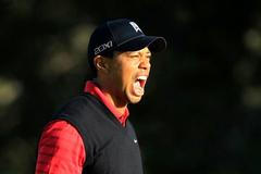 Tiger Woods - radost