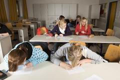 Studenti, žáci a přijímací zkoušky, učení, testy