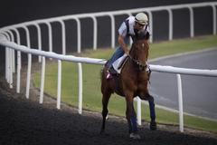Trénink na Dubai World Cup