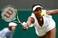 Wimbledon 2011: Venus Williamsová