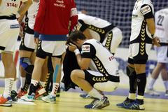 Házenkáři České republiky