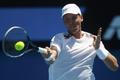Australian Open: Berdych - Ramos-Vinolas