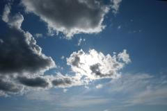 Dokumentujeme.cz - Tropy