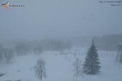 Bučina - bílá tma