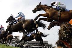 Překážkový mítink v Cheltenhamu