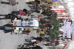 Vánoční nákupy 2010