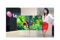 55 palcová OLED TV firmy LG