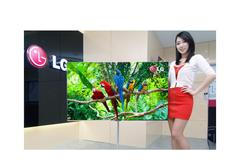 55 palcová OLED TV firmy LG