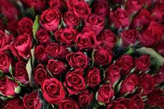 Sv. Valentýn ve světě