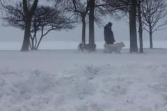 Sněhová bouře v USA