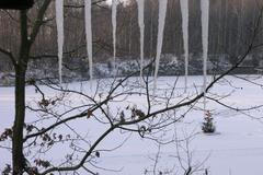 Potápění pod ledem