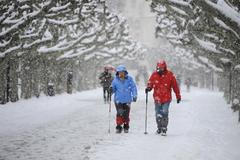 Mrazy ve Španělsku