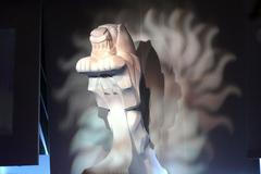 Český lev. Ilustrační foto.