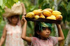 Než vám pod nosem zavoní čokoláda