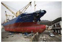 Japonsko rok po tsunami - "tehdy a nyní" - kombo