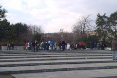 Volby Slovensko Gorila