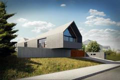 Netradiční rodinné domy - vizualizace