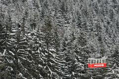 MS Liberec 2009 - přípravy