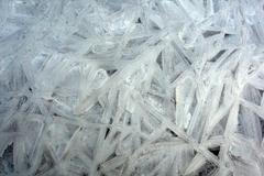 Bruslení na Orlíku