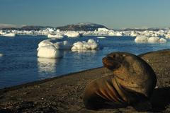 Česká vědecká expedice MU Antarktida 2011-12