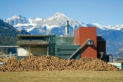 Zelená architektura v Praze