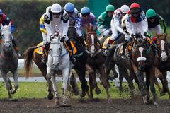 Velká Pardubická 2011