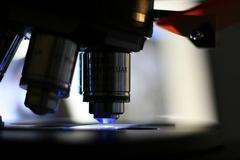 BioTalentum, Maďarsko