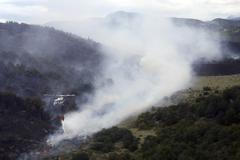 Chilští hasiči se potýkají s řadou lesních požárů