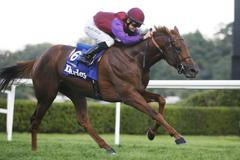 Za rok odjezdím přes 800 koní, nastudovat ho musím za pět minut, říká nejúspěšnější český žokej