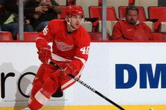 Jakub Kindl, Detroit REd Wings