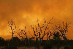 Rozsáhlé požáry v Arizoně