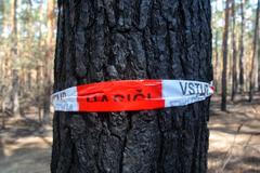 Spálený les u Bzence