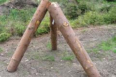 Chemií proti kůrovci