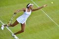 Venus Williamsová, Wimbledon 2012