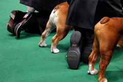 Nejlepší snímky Reuters na pomoc dětem - série Různé