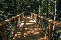 Stezka v korunách stromů Lipno