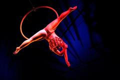 Nejlepší snímky měsíce - leden