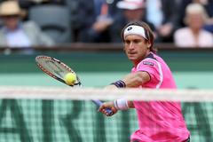 David Ferrer v semifinále French Open 2012
