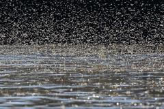 V Maďarsku se slétly milióny jepic