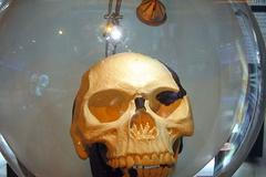 Replika lebky tzv. Piltdownského muže