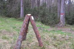 NP Šumava - otrávené lapáky