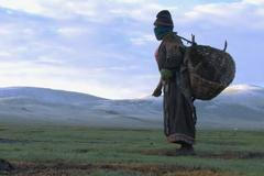 Letní pastviny (film)